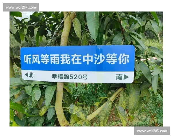 听风就是雨！记者一语引国安解散谣，孤军奋战盼支持